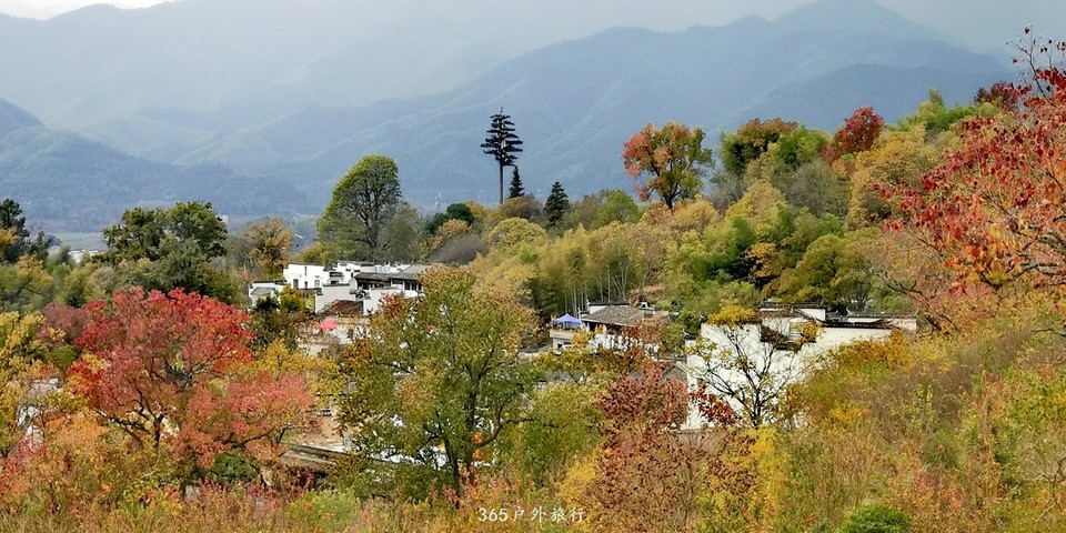 WBLAgWnlPf-jm0mLlnhEc8n6nlpO5GOL6aVWohEFoiLiTu_9pU45HXJSf_y43Jde