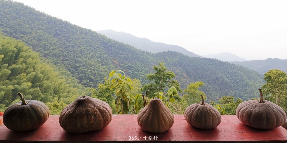 qMlTIN9L5tljtRk1Udj_dHCY-pcPJYXxnsz6QxxUBsfgKcEZEBGBqYhKORshup7o