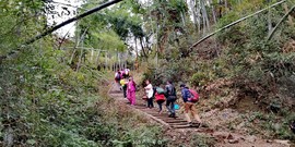 RjZoc37LOa8Gv-pncwehdPR-W_YFDmdzx3p9ZaKqyfyswtqTVZwbsTQsElGV1gP7