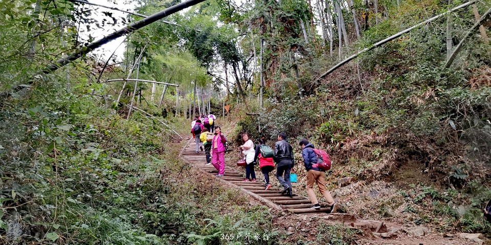 RjZoc37LOa8Gv-pncwehdPR-W_YFDmdzx3p9ZaKqyfyswtqTVZwbsTQsElGV1gP7