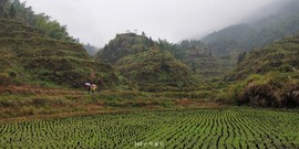 jfKEl8Y87aoKaXCKWgQePLGE-LN38N96-jBZIyFvOrt9JQoaTBnQh0avhHu0-_QC