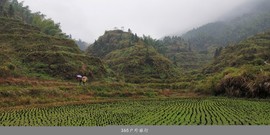 jfKEl8Y87aoKaXCKWgQePLGE-LN38N96-jBZIyFvOrt9JQoaTBnQh0avhHu0-_QC