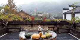 9ldLjGeuyb92ofURLb_Noms9rqgQO12bHx_suPOBADl7SBdZuQix1t6qeklDwACD