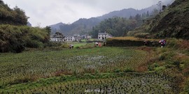 69HM1jR7suu1IVwVUemQiOK2yL7uWl5-EsoyM6I9jnFIxh5udLAz5qr_pnJPt1kH