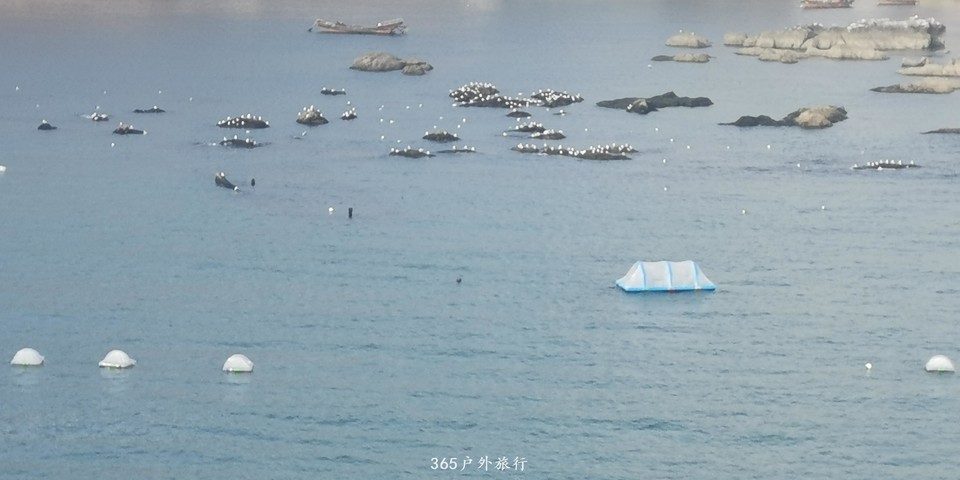 qIiN-P1bg2TGxycc7loOqYjU1KH_2Xta05iGLnVAa3f-nmh3uoNzDmsVe-OnJKW3