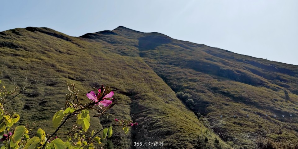 nkqtS44cbH0IlwxdbPpkfG0i50oPjk22WML_NlHsLS4Z3MY72rGMe_3H7KPKlBvo