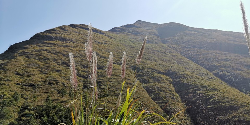 N2jLcsROu3sovVpoZgmMngb-8CkzlR0I_5SyQZycUBeECYcnlsJsoCRTTk9g_sPc