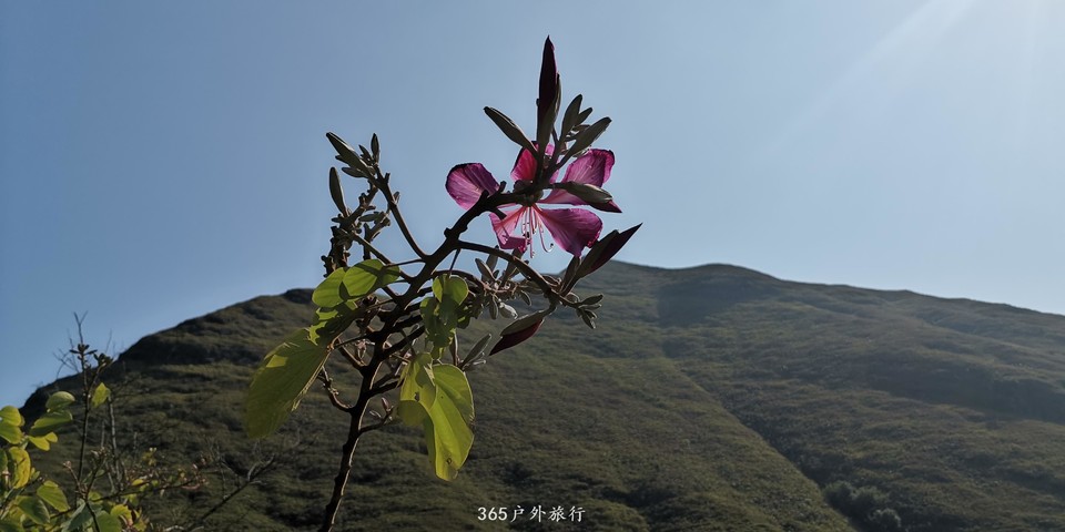 T98zE0YTAk4F7PreT9F3D4jQD2DiSxE8GqC8K7UgyA28tV9dTmjasJx69ukcRNGV