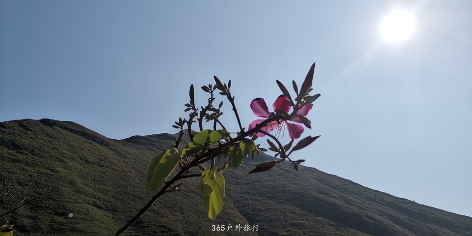 ykV0M7yPtqGHNJfIYv0KqzlsqdLAXeZiAjuev0FU0LmnVLPaDCxMCUL1qC4cHylA