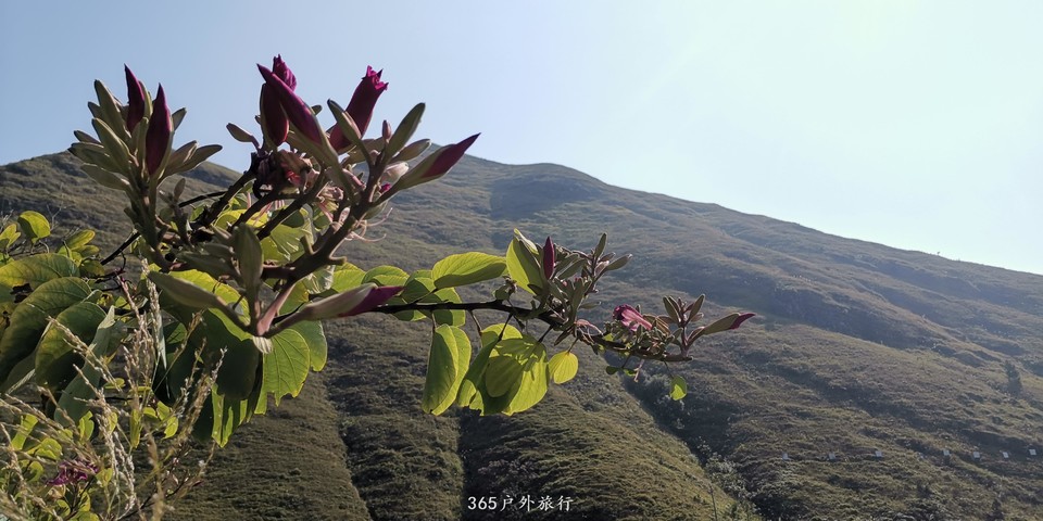 3tNhnn6bzS8I6h-ncM7BJGqRFaReylIbMHAWcr_prUwMS_mCXm-7jB8IJSOwdBXh