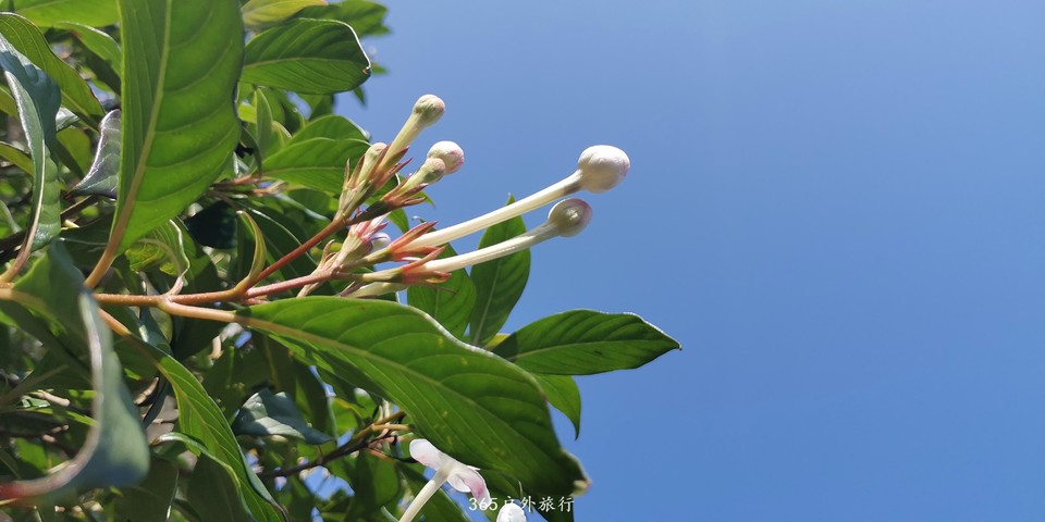 hV9bbQ1u6vcBmSOU1KATq8v90Q-Gal2isaGtQjxYBmbwlDSHSnFiwAOiB2aQoad8