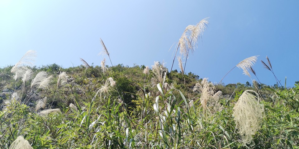 BCbSomcDk10MQDVs_NTRrRpFlSDk8itgwNc_0NlZf2rlp5GBvlj7AB_3sy6RP62k