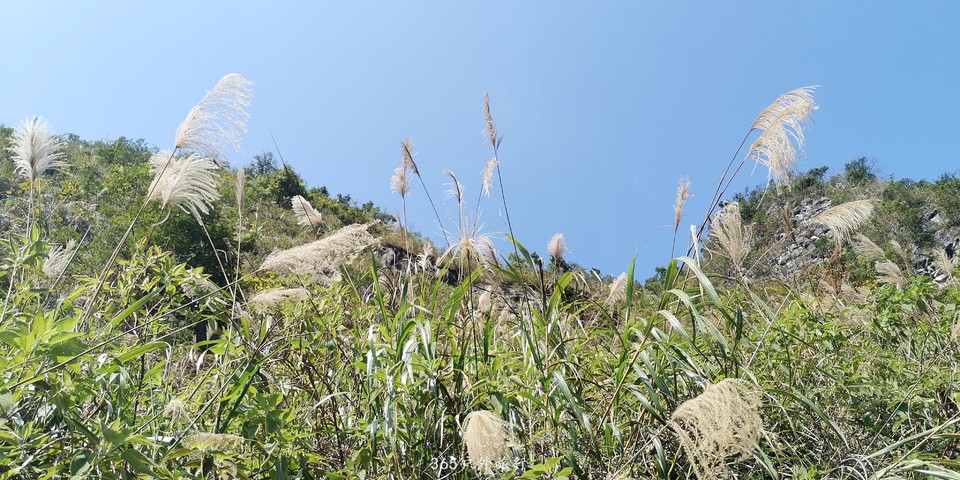 mIjz3dQrMxvVZeE3u8ed3NycdXfizotsraufBWeXLYUDWXdlaUVDVV5oEVVi23tF