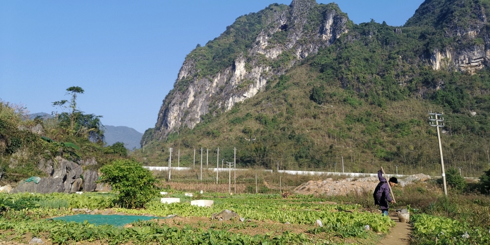 6VYEGnHd_t2P5f2Ic4KVc5AId9Ao8T_okyLNTpZ3j_1alJ8xo014ckfYP6zXIO_f