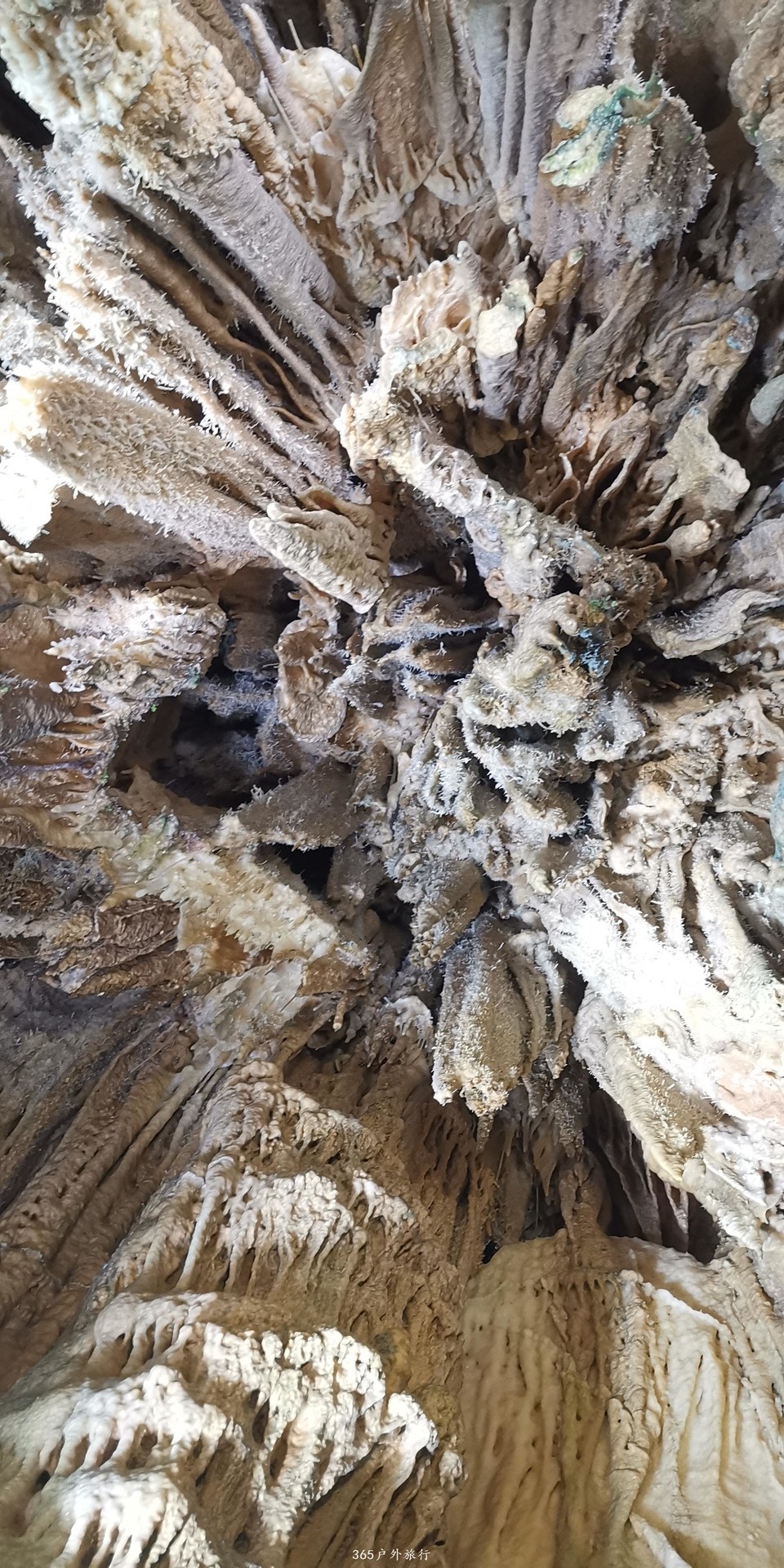 XjMXsU5R6YQEQRGFjfjV6vfOfBqmjdc8ax_Y-jNc5sbd8a_h7Xg5llhajFdRjs-M