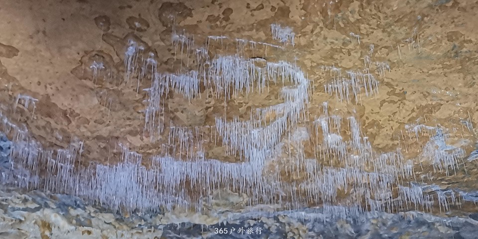 F_UT4U9YMQzv6T_8p9jIVwwPklPijGzKDA1v7i2WIjE9reXOtWax9XumEmL7tLjs