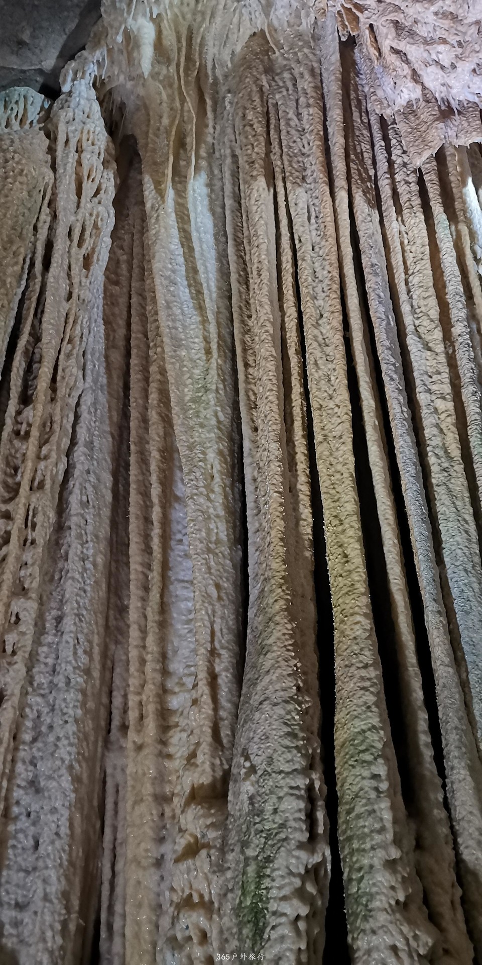 2O7AYN19sTcIBF7Vvq_euFONWIz5vIdH1188if4EfJlfLcIkCnEchnvFkPKh8CrO