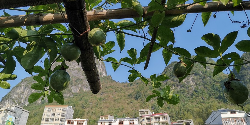 jFWYa0ZYKlK9gTeBgS5B9lnxA2dAvDhamVsd0eOLCLJ1u6nngpB440cGrYUQBZaE