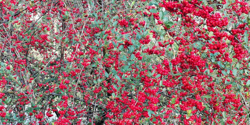 sBwXdCodXtjElEWwgH69DaSS0TTG5IZq1NEKU36qBU6uffbzRbY1PqEQGdBHZIph