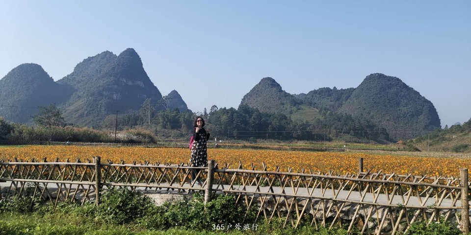 Euxobv5rk8LAvpyEEqZhlSHdxjqOyn_i4CXz1-RGli-ViD57HLX2NJzH4kiNVyfp