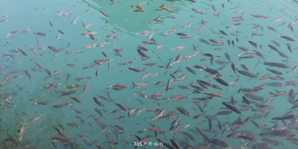 6eo4JIwVfW9her9KjxS4MRb-4Xukc6lHxcHJz6lHG76xXVQnEdOb5bKInISh3RdL