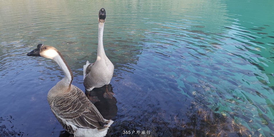 tDRhQbaszbKZ1u31oLP1l1rv-7BCYd-G-h8-JFbR4RwvOmM3QznV3BgeA9guIgN8