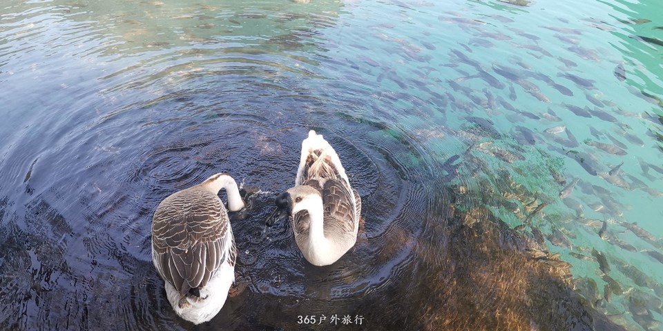 ok7-X9smgQwKN6AuphmAQ86j8QwYnPpj3nUTEPPZohSyldBXXJRwxLycgurQywmf