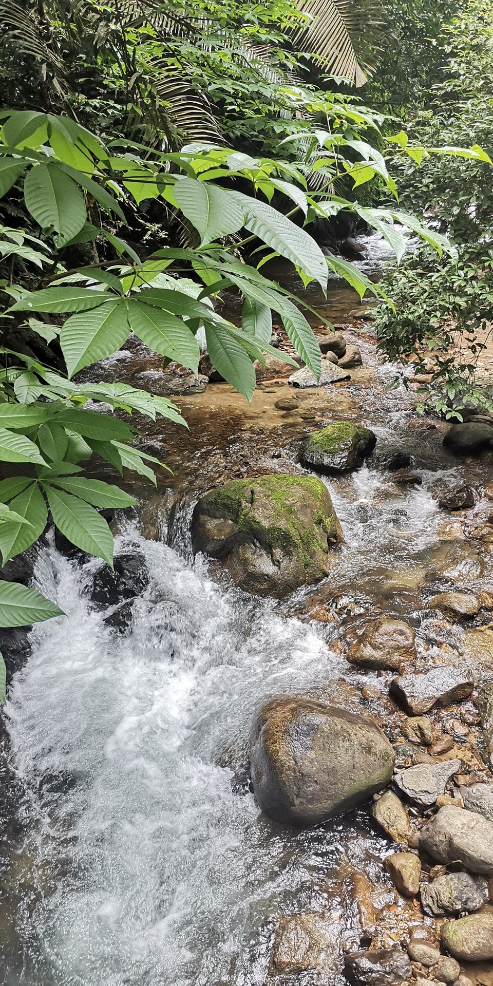 IMmw2cbsE8YqoP6OaMbhSjNLrI0wh-hmuTrfWL8H8rFu36ANB-QvW4bcPi07fbkF