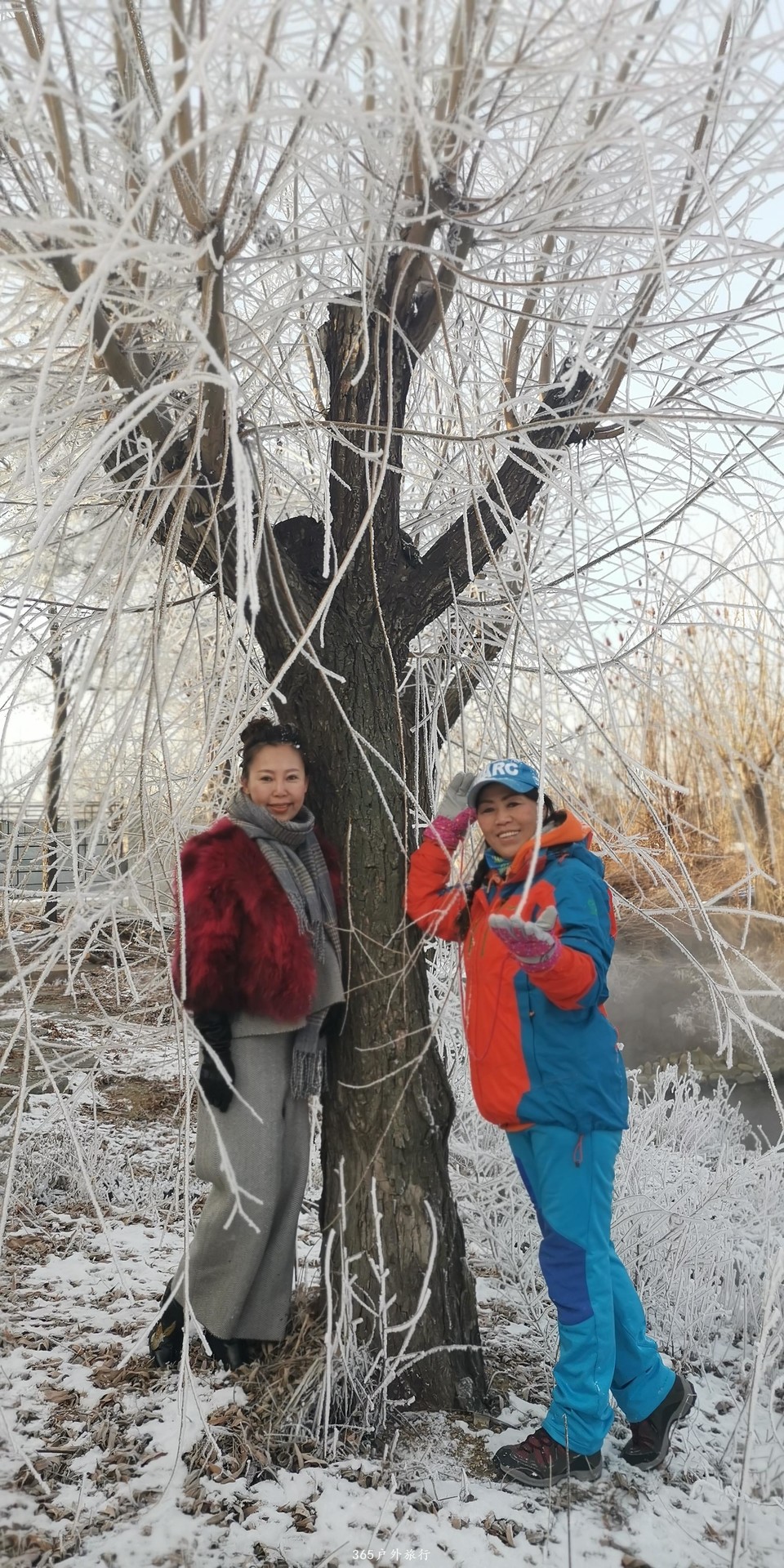 NagpORfiasZ_O0ELocRX9xEcV166mItmKbXnJaRCttHN3WlH2yTeVZ1hCrtvpyrh