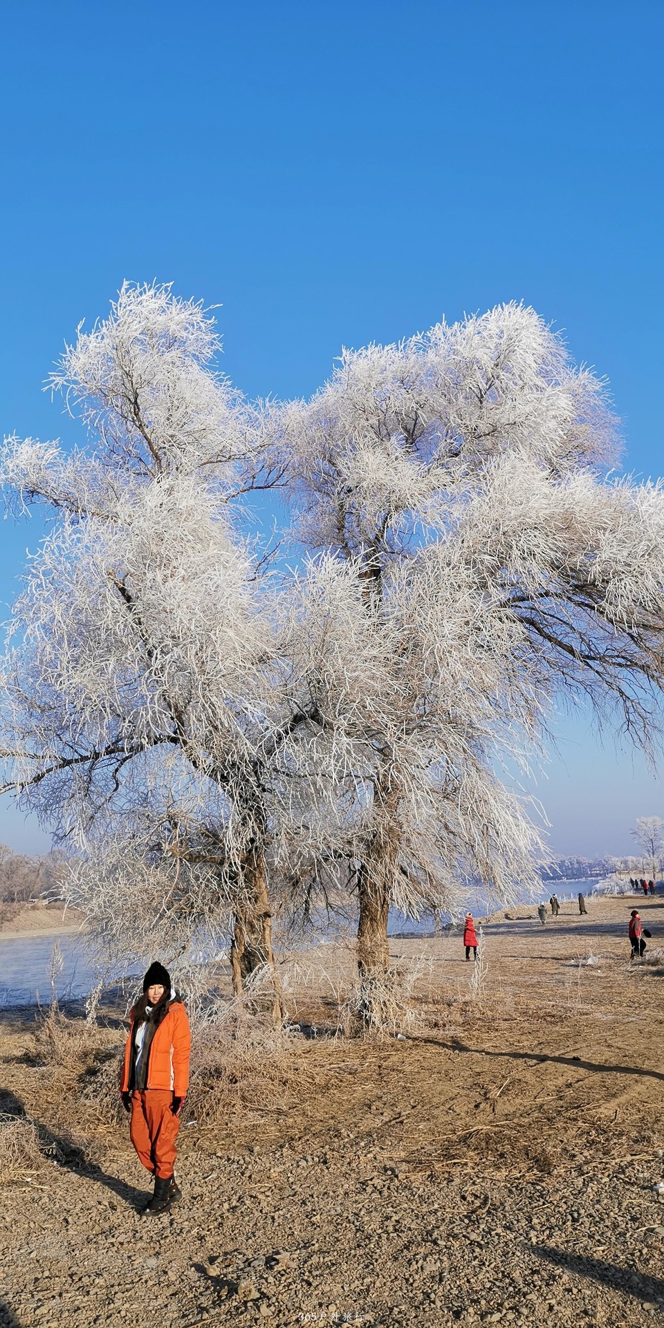 CXmpMMcEd1OLUQhrfTe6Q8munT3LJdn_Ndw_aWTBKRTEijPSsW7Xjz7v5jT1106N