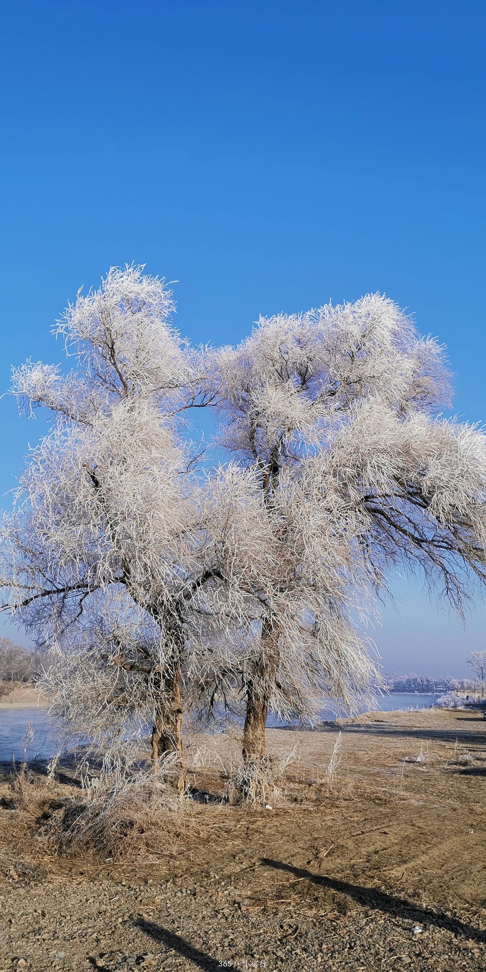 q_hreGiQ4dxcNg6ANUViJl157KumxUCpES6qDXVgDSwLymMxBhnHDsy_fdabv2I-