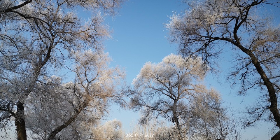 SFdngj2K2r-ieG0jMv9zEu2kTc1IsjtPeDZQyj7O--HhRc0m4M0rPPtGibrd9QoT