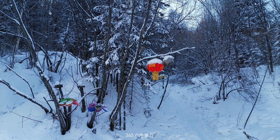 jjADCxOLdgKWDeF1ICxEoxWjQO2R41kR-uTcd4we8cMuRbe86f9OnIioP0Zye5HU