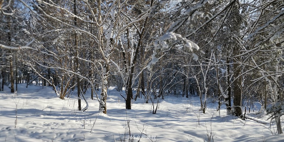 dhaXVfg12y0lvGP8j56NTeJrm2d-OgXnSh0slQvyxJJ7ERgcsPit2mX0Jz_buSef