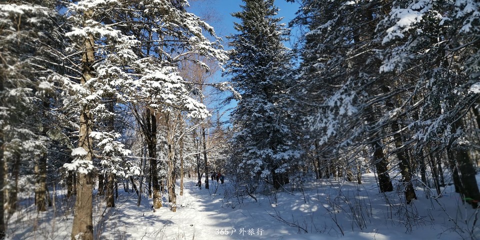 icglOWeIXs2dciZK4XN5O8PVmtlR3PPrQ9AQZaPt0wmzVlbYmVVVps83Cn2VS88L