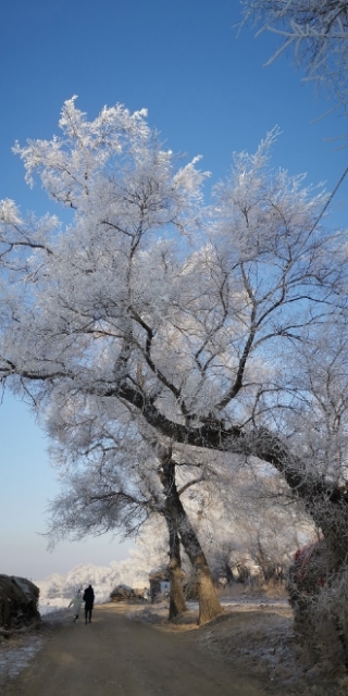 rjkZzvpcV03Q24bKOpFihOKdXB4dVTIe9f9-Syz2CTwpV4Mk7sRmx6cSRn826HPC