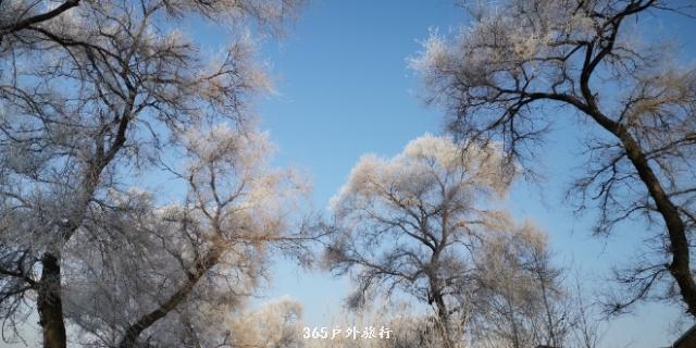 pcVMkUoNghZyTts_9ph4V9IyhN3vSgSuiwj8x1ofIJ9h_EOKUPw7CpHCXhFCfIvh