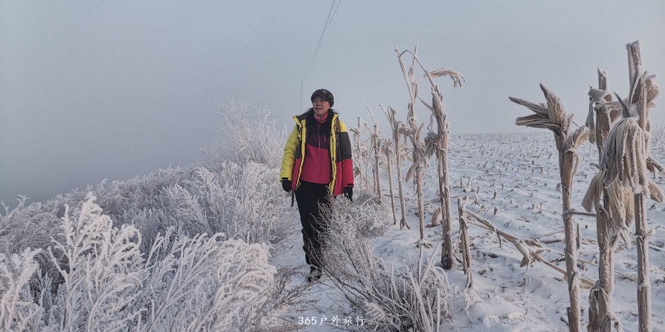 haJ93m12HxNVBsjRl2VMBKwB7vaGNG5gyXJ7fUH9rn87Ls4MwwbKa6i9ZMWWkerb