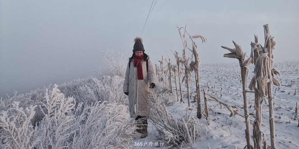 SSxUcY5FCGPMCSmx1DyHkSBpa41aQ2ZRd6Y4DAT4eCh0pkaDs9Mu4vJEhrnTZ872