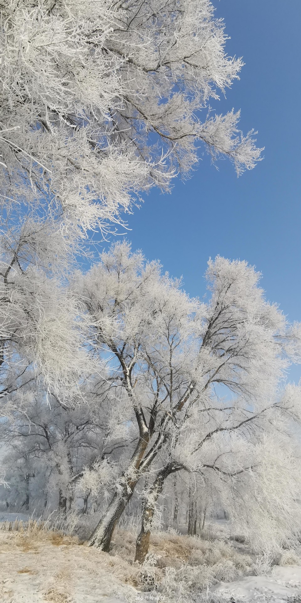 4PgOG0mc5-B6o3AYPx_j6JMvhK1_4LwOHPOt-TRoji-TLTUe0Pc-XnP96XAQKG58