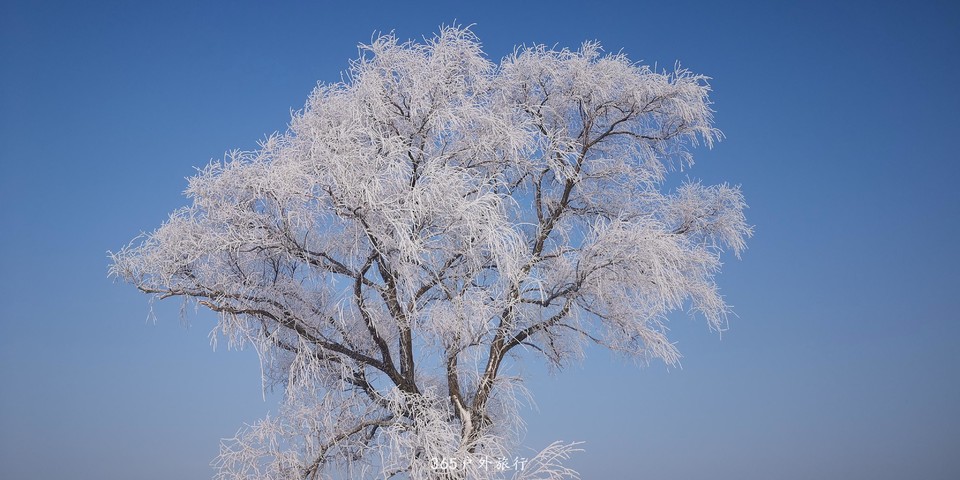 zEpKoQDn4w9JZ_U-sSQfuSIOU3FjGykhoA3VHk-l1HCtYD9rJwxJ94gi77fD8Pf3