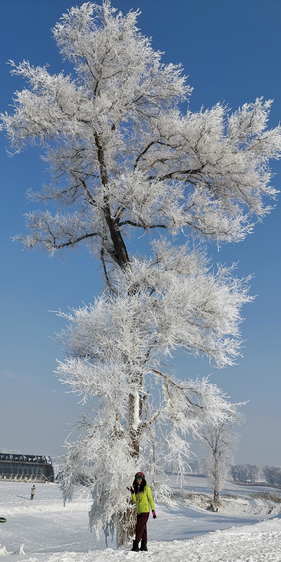 xWSJbfQMnwLU3OhUIkPF-eIc3HBMvCGRiHh-kEmKtH_ppQtVrNu0CGc3ftJcgmyM