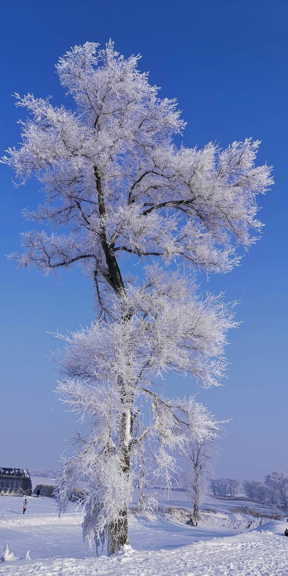 surua1QuqdTB15pSRPjFhr4ttOEe5lc4bRp6WiWDQIeoeMVKTUC0HVqqdmdWlLQm