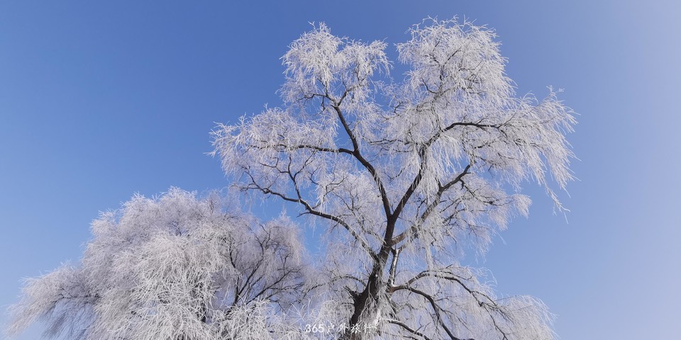 qfLezjHphiNO4NicLiIlAjhxl_YjO8erqokCdNi7rG5NkT6HV-Ge-sUyCmoMUpCE