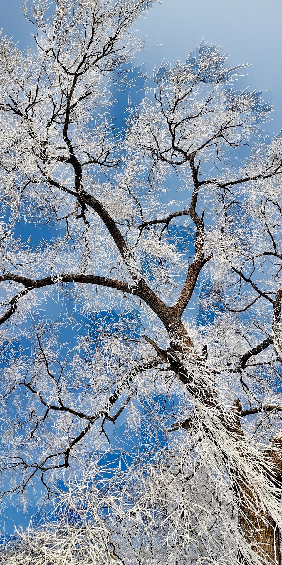 IMmw2cbsE8YqoP6OaMbhSq6limA_7N4FrY53YtUrSbz7fnyowdAD4ck99j_Pml2f