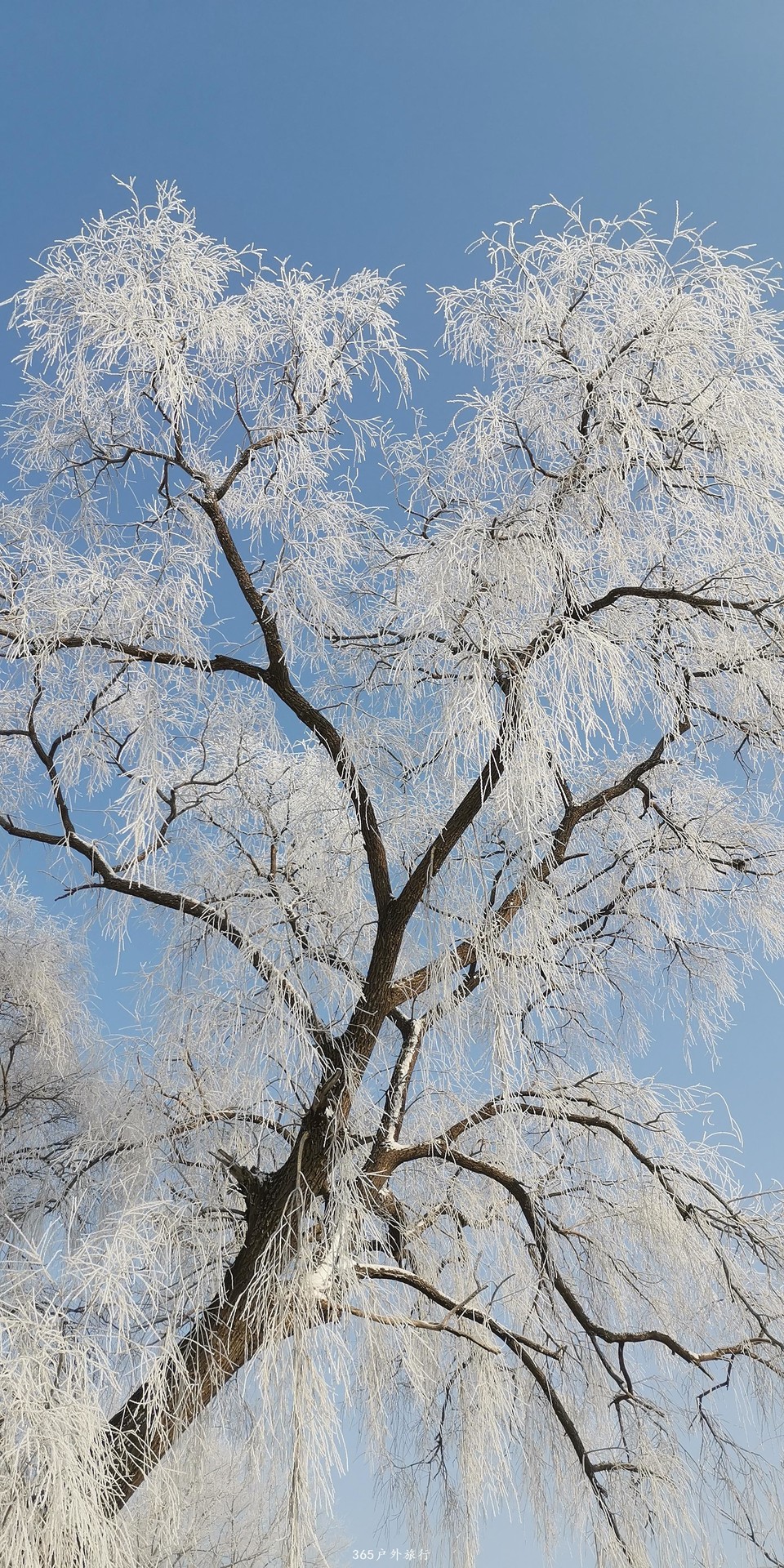 Lid43smZfHb1qIuZ_RgmpxAiIpn5XKhMG9Ojr6MJJUvMlqY7dJJhWCzdoDz8Vf-S