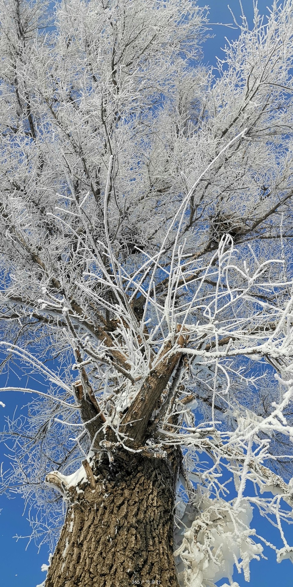 5n9mEtHisBLJj0bJHo0gbMgwgEKW83JLjC0N08m68YgjuD8ppX6oGa4HGvq9sBX7