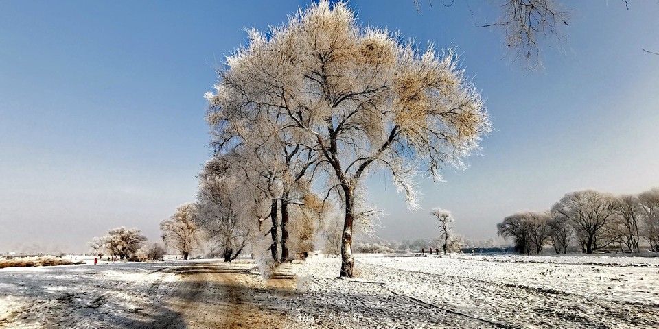 lPrn5jWVxz58w8-Lc9pq63egWwXpYWx0d_5u1ONoJRAlYPCFI4DzB8_RHEbwMH7F