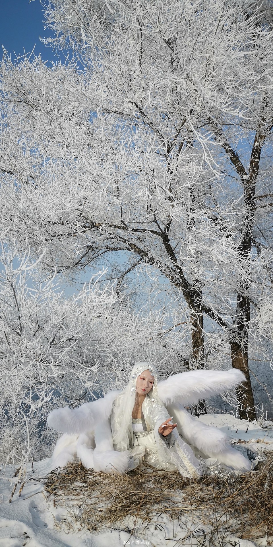 J1C85Xhsff_RKawuOBfSIU4WlEw44Nd6N4-ghOKtv1JclHULOSTwAgClbliEYcFk