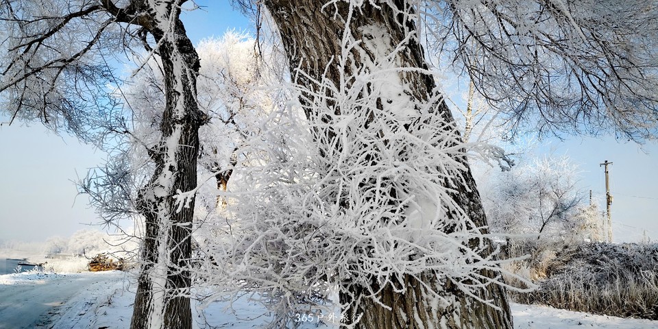 CFTPD-9WK2Y1yJ9y9gP_aYR9IPRxTP9pm6YOvVr7C9a6QYWg2pcID4_210ghv9dR